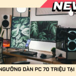 3813-dan-pc-70-trieu-tnc-store-1